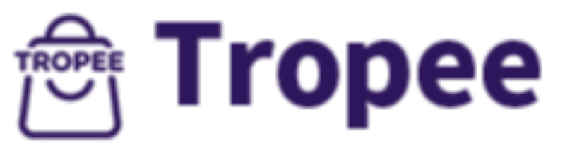 TROPEE An Open-Source And User-friendly Cross-border E-commerce System
